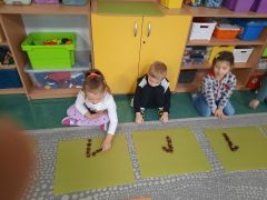 większy obrazek nr 11