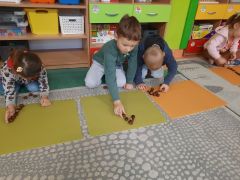 większy obrazek nr 16