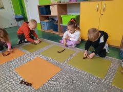 większy obrazek nr 17