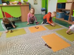 większy obrazek nr 18