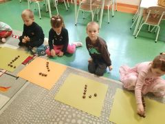 większy obrazek nr 20