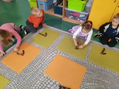 większy obrazek nr 24