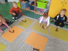 większy obrazek nr 25