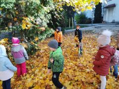 większy obrazek nr 1