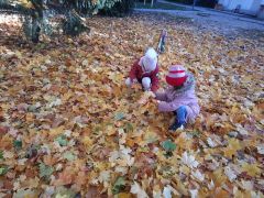 większy obrazek nr 2