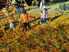 większy obrazek nr 4