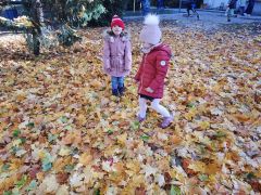 większy obrazek nr 5