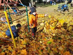 większy obrazek nr 6