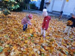 większy obrazek nr 7