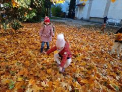 większy obrazek nr 8