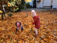 większy obrazek nr 9