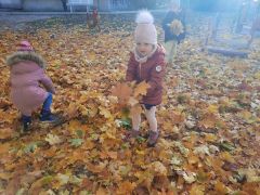 większy obrazek nr 10