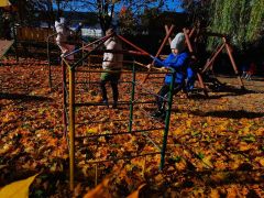 większy obrazek nr 11