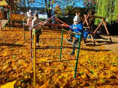 ilustracja do wpisu 
Jesienne liście