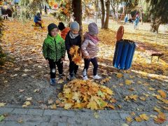 większy obrazek nr 13