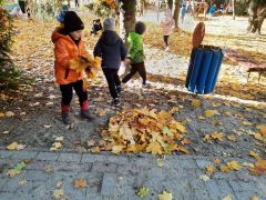 większy obrazek nr 14