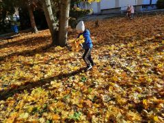 większy obrazek nr 17