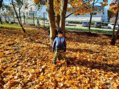 większy obrazek nr 19