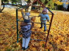 większy obrazek nr 22