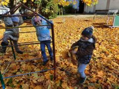 większy obrazek nr 24