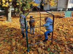 większy obrazek nr 25