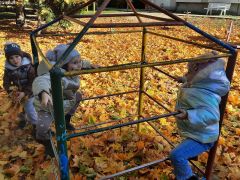 większy obrazek nr 26