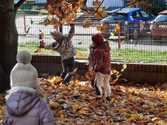 większy obrazek nr 28