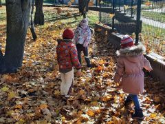 większy obrazek nr 29