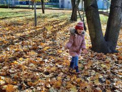 większy obrazek nr 30