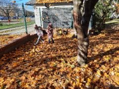 większy obrazek nr 31