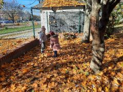 większy obrazek nr 32