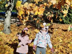 większy obrazek nr 33