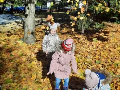 większy obrazek nr 34