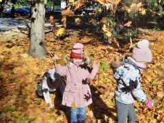 większy obrazek nr 35