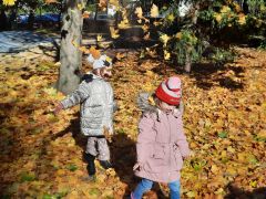 większy obrazek nr 36