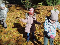 większy obrazek nr 37