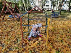 większy obrazek nr 40