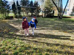 większy obrazek nr 43