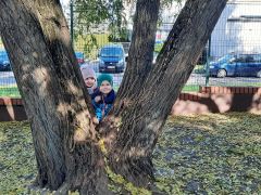 większy obrazek nr 44