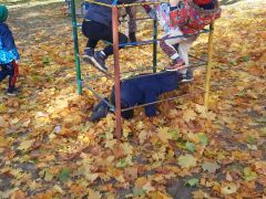 większy obrazek nr 45