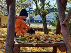 większy obrazek nr 47