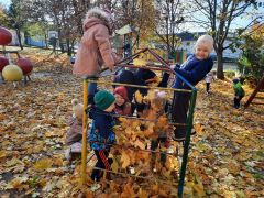 większy obrazek nr 52