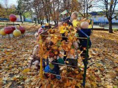 większy obrazek nr 53