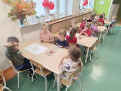 większy obrazek nr 11