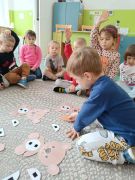 większy obrazek nr 33