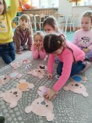 większy obrazek nr 12