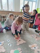 większy obrazek nr 49