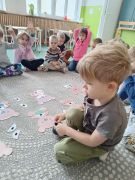 większy obrazek nr 61