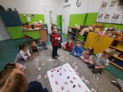 większy obrazek nr 9