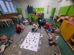 większy obrazek nr 10